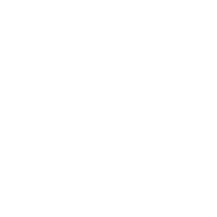 An illustration representing customs at the airport